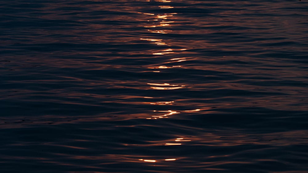 body of water during sunset