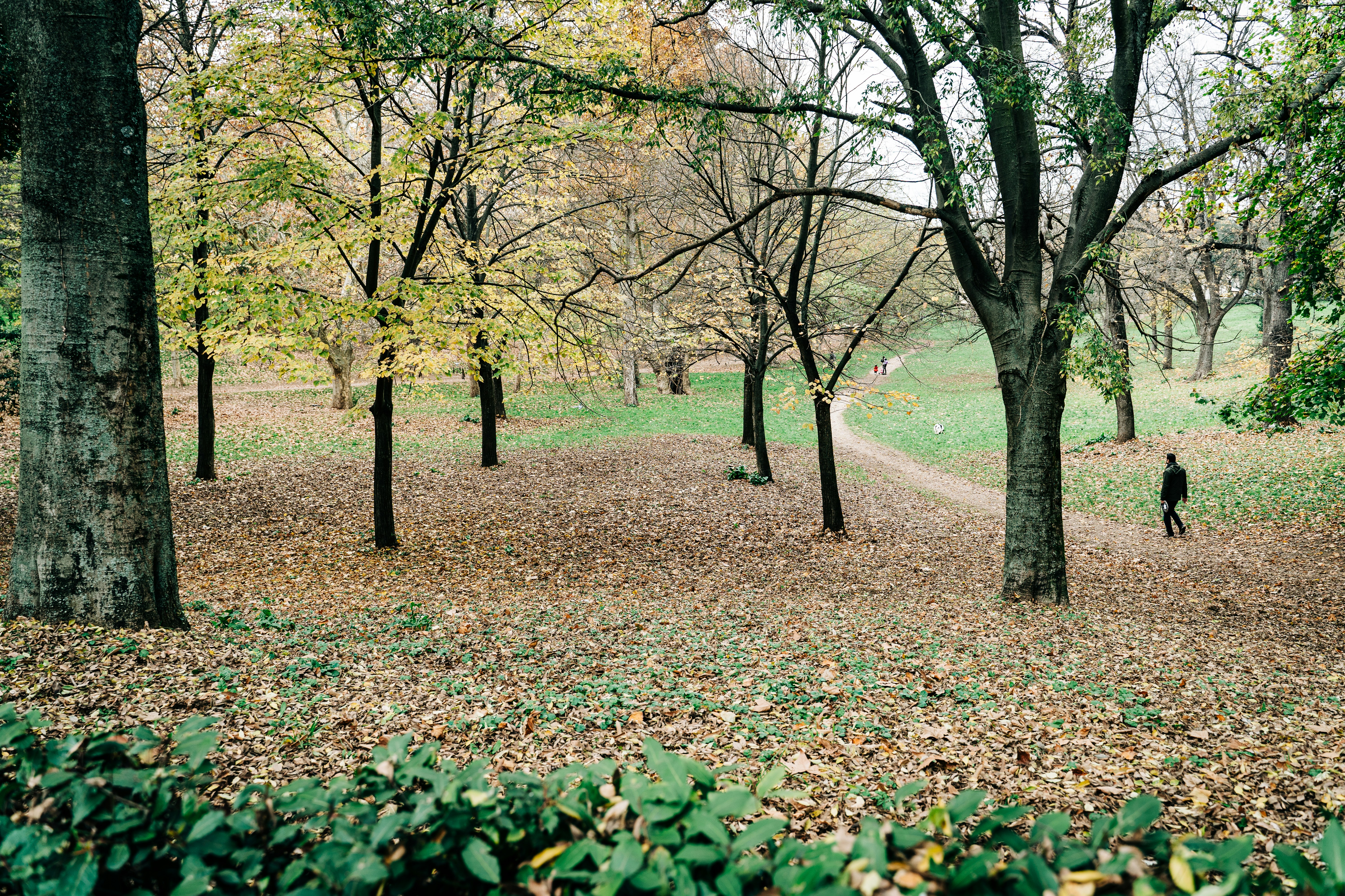 Photo by gabiontheroad