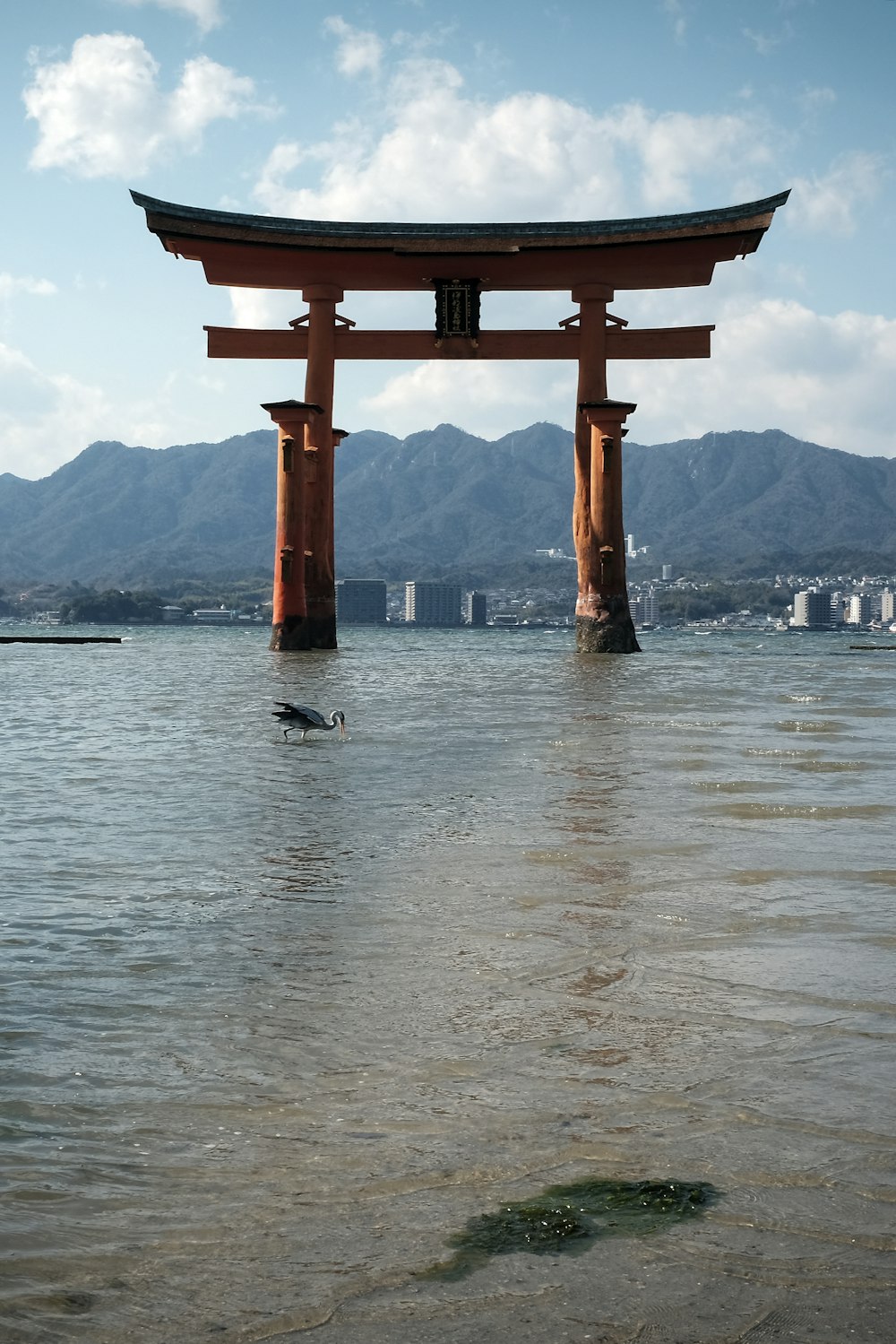 brown wooden post on water