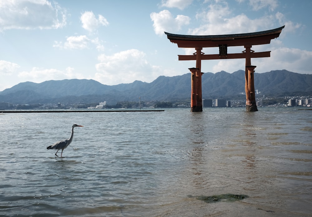 brown wooden arch on body of water during daytime