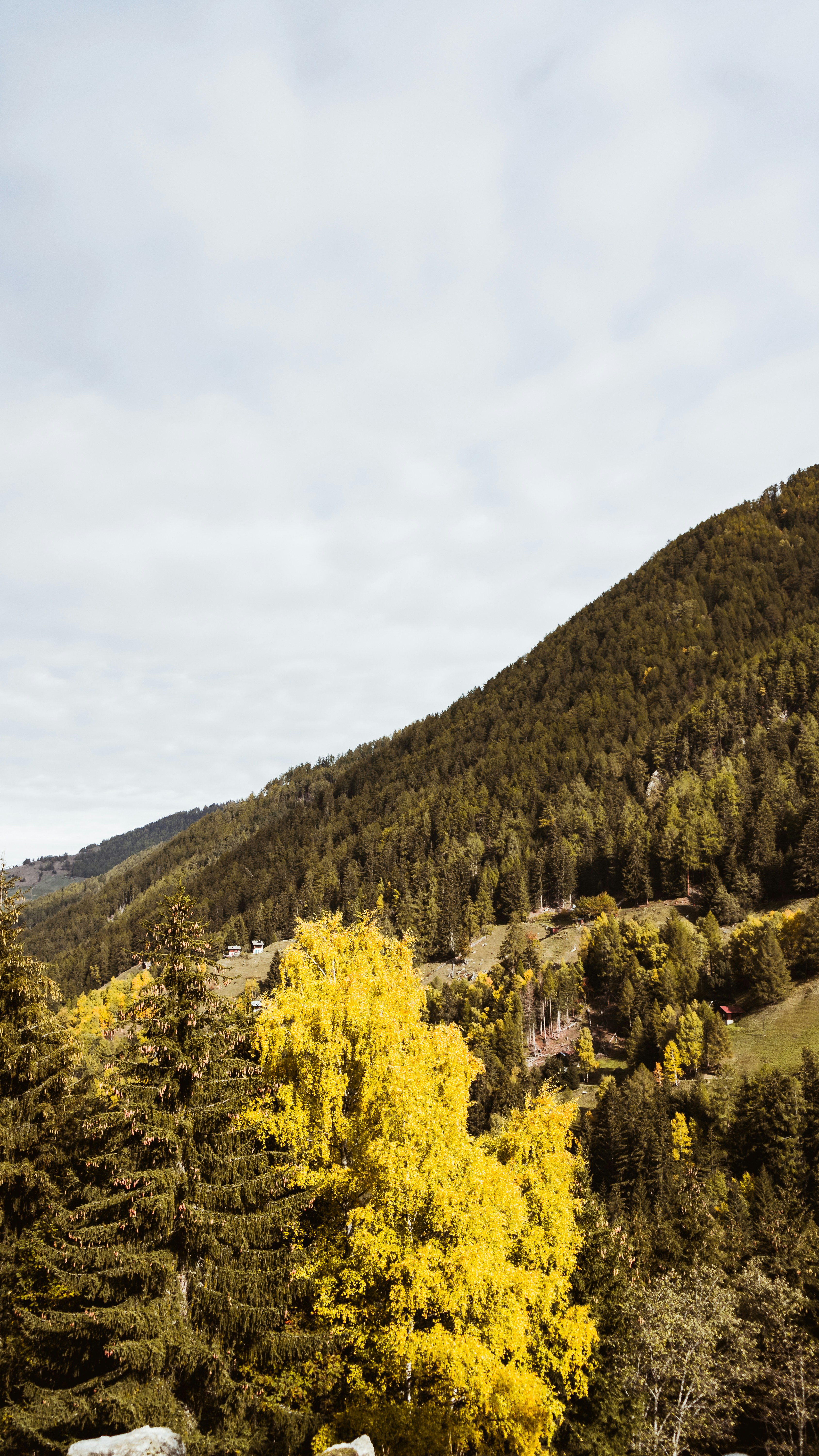 Photo by virussinside