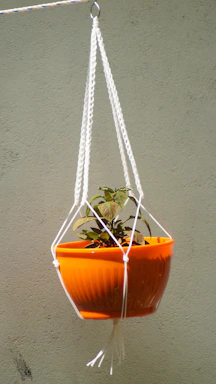 Earthy-toned macrame plant hanger cradling a lush green plant against a whitewashed wall