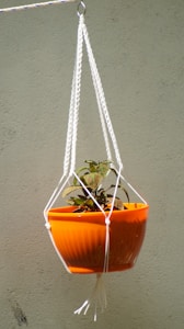 Macrame Plant Hanger
