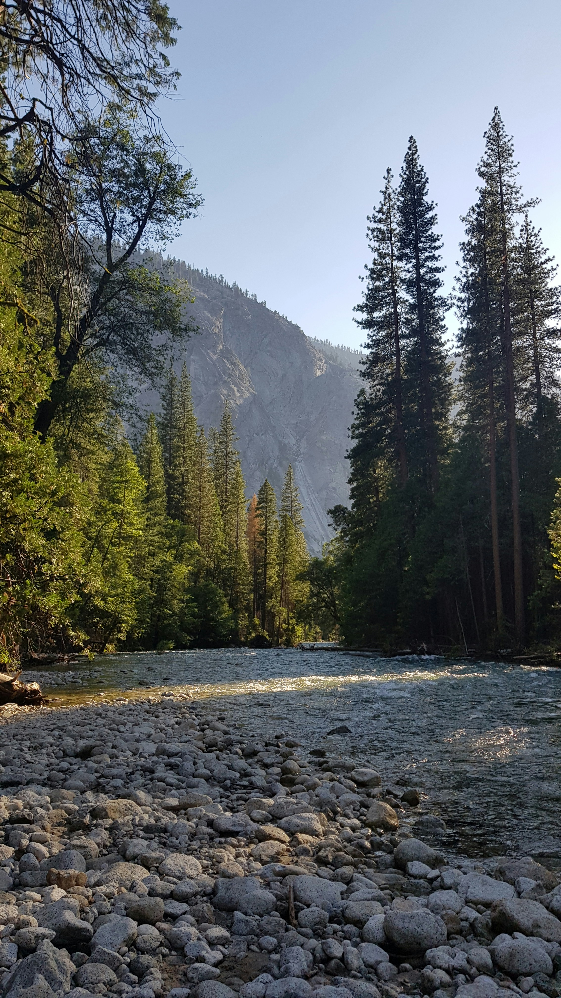 Photo by melaniehooghiemstra