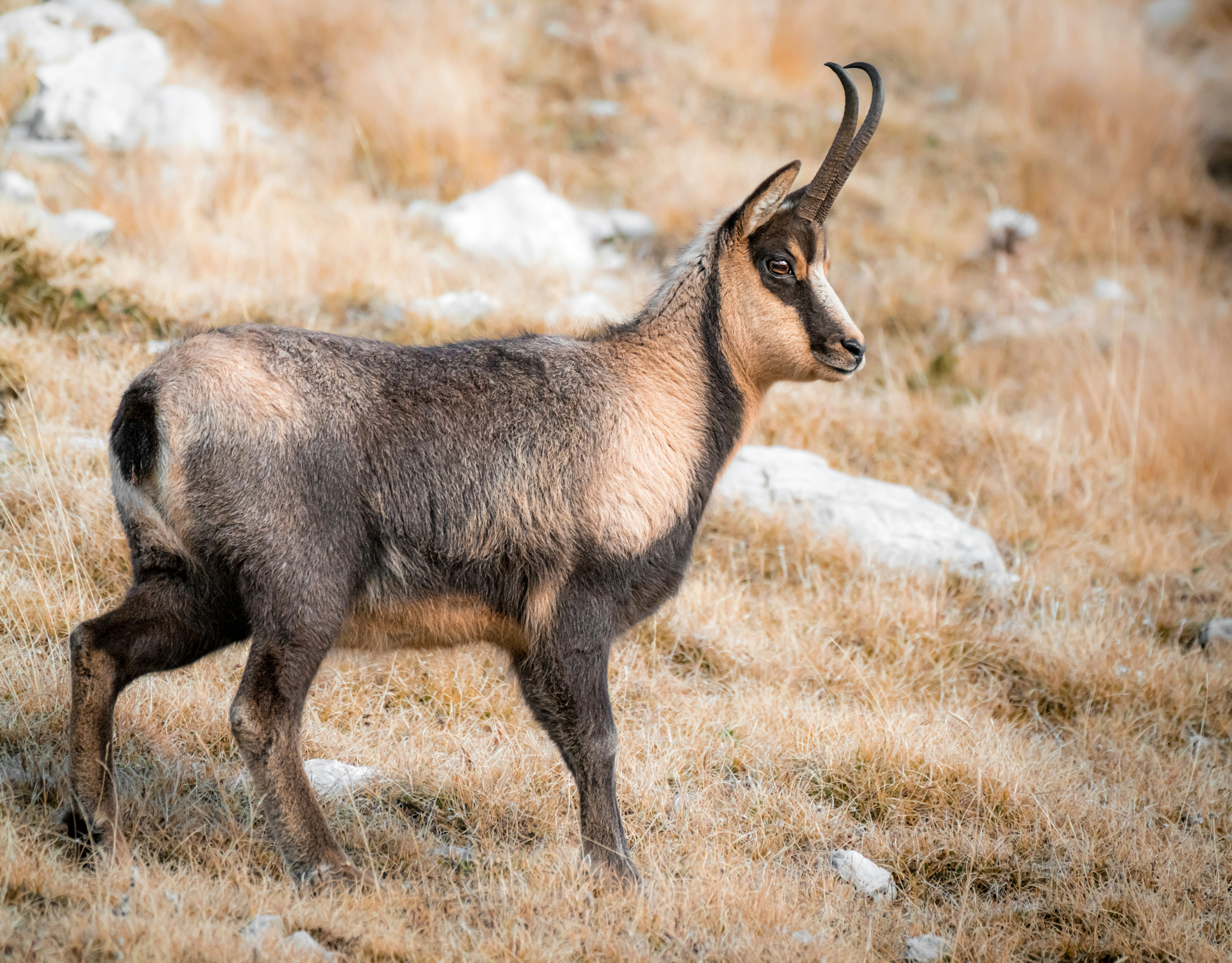 Photo by didiofederico_photographer