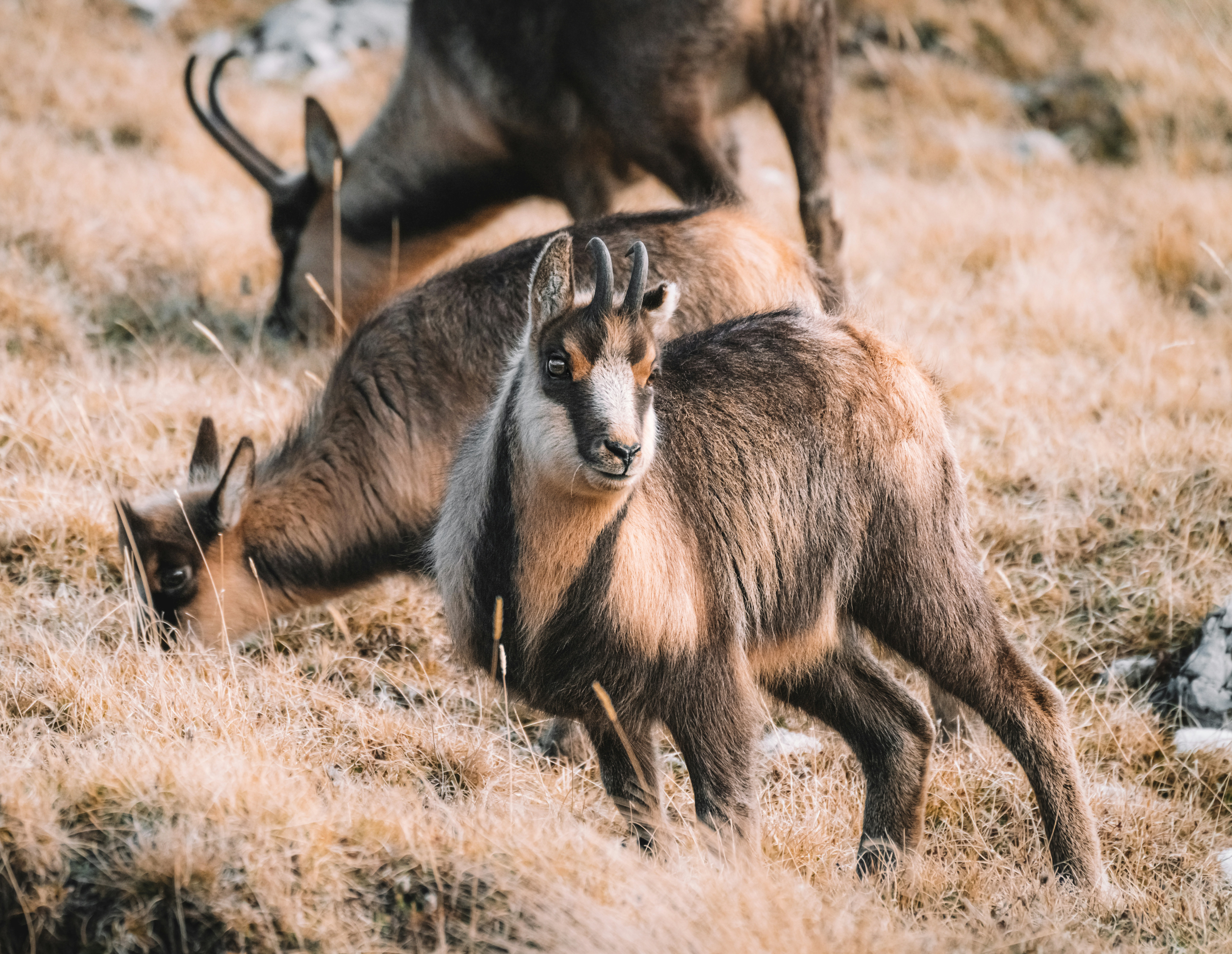 Photo by didiofederico_photographer