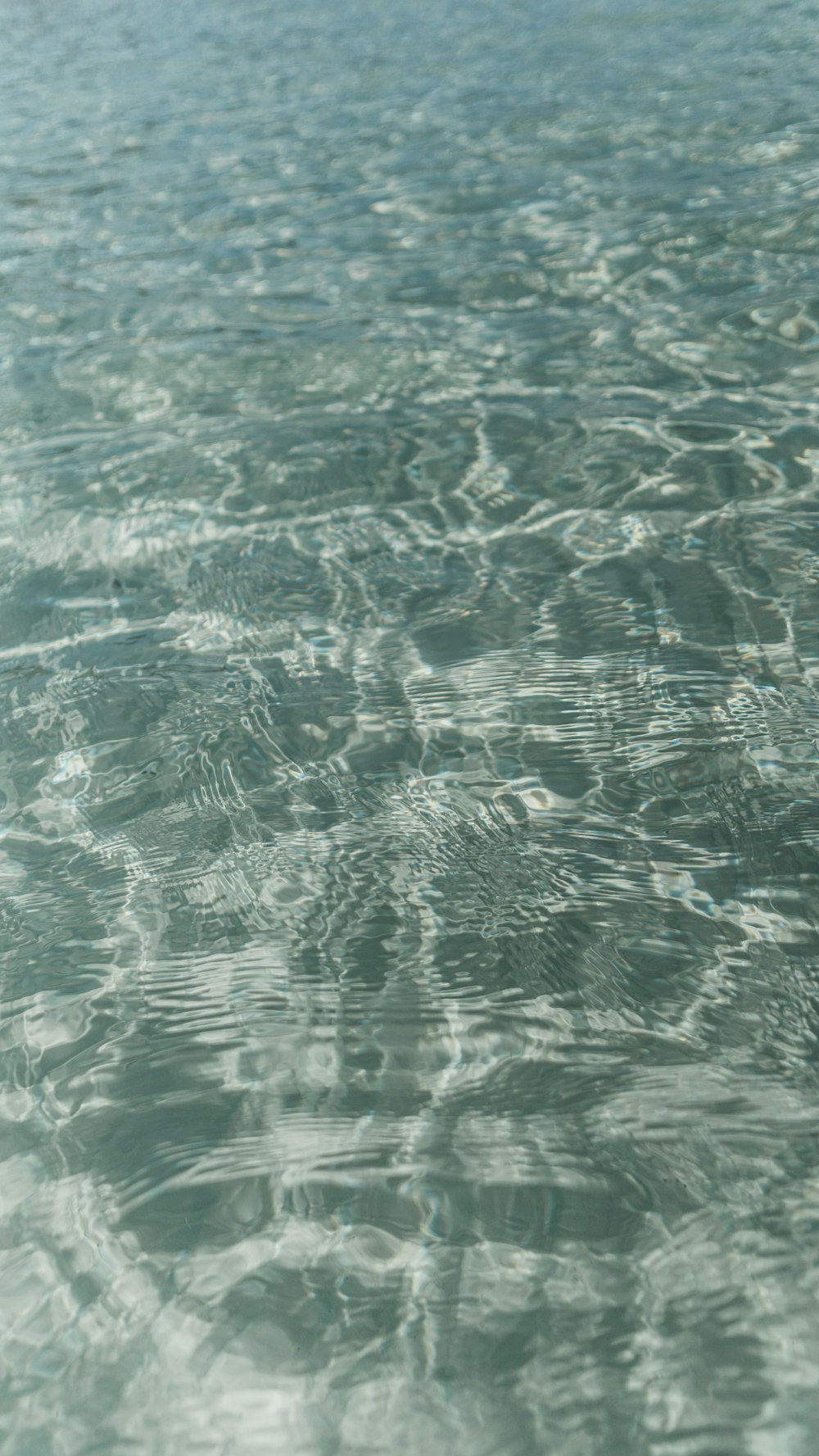 acqua verde con acqua durante il giorno