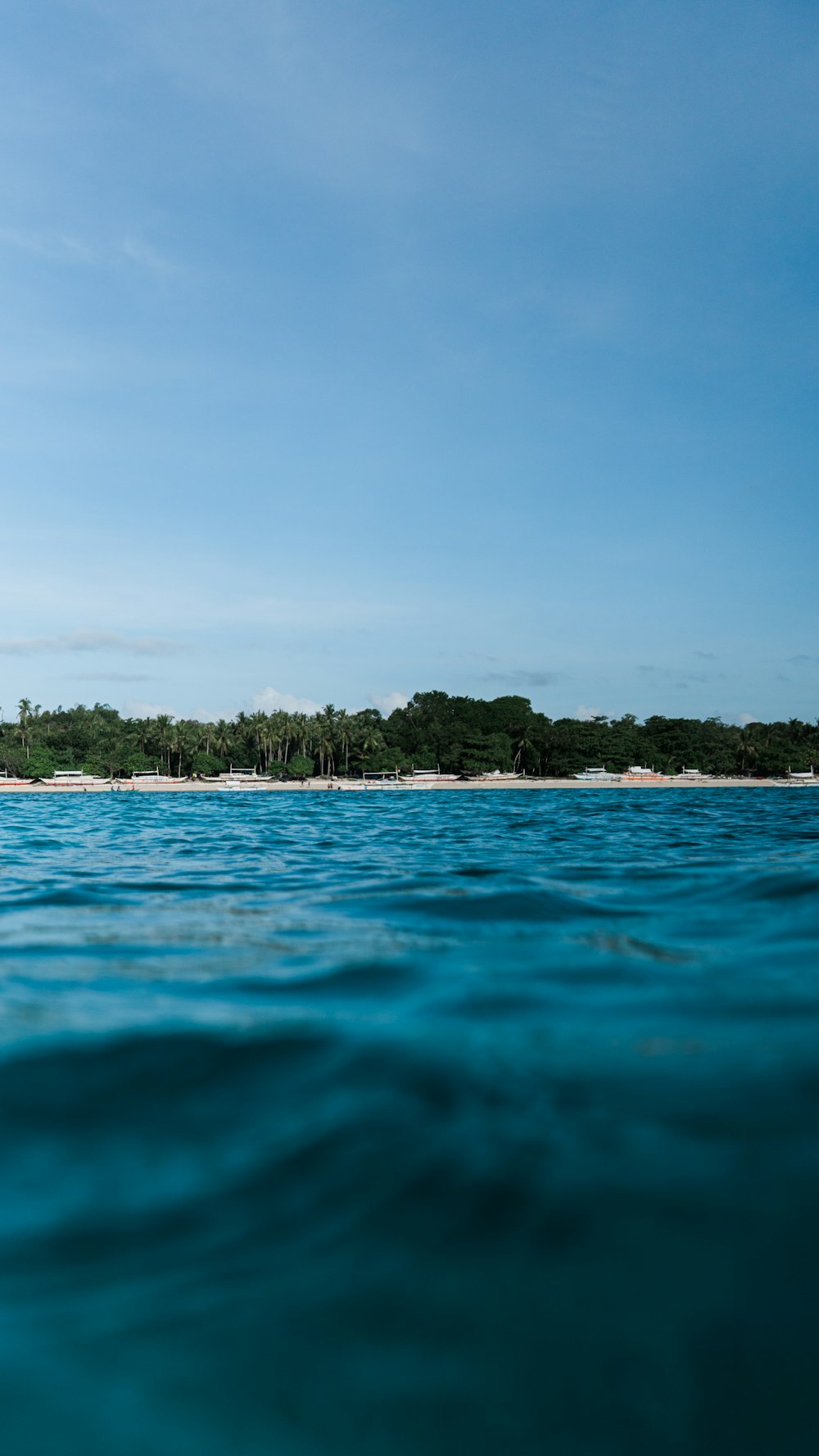 green trees on island during daytime