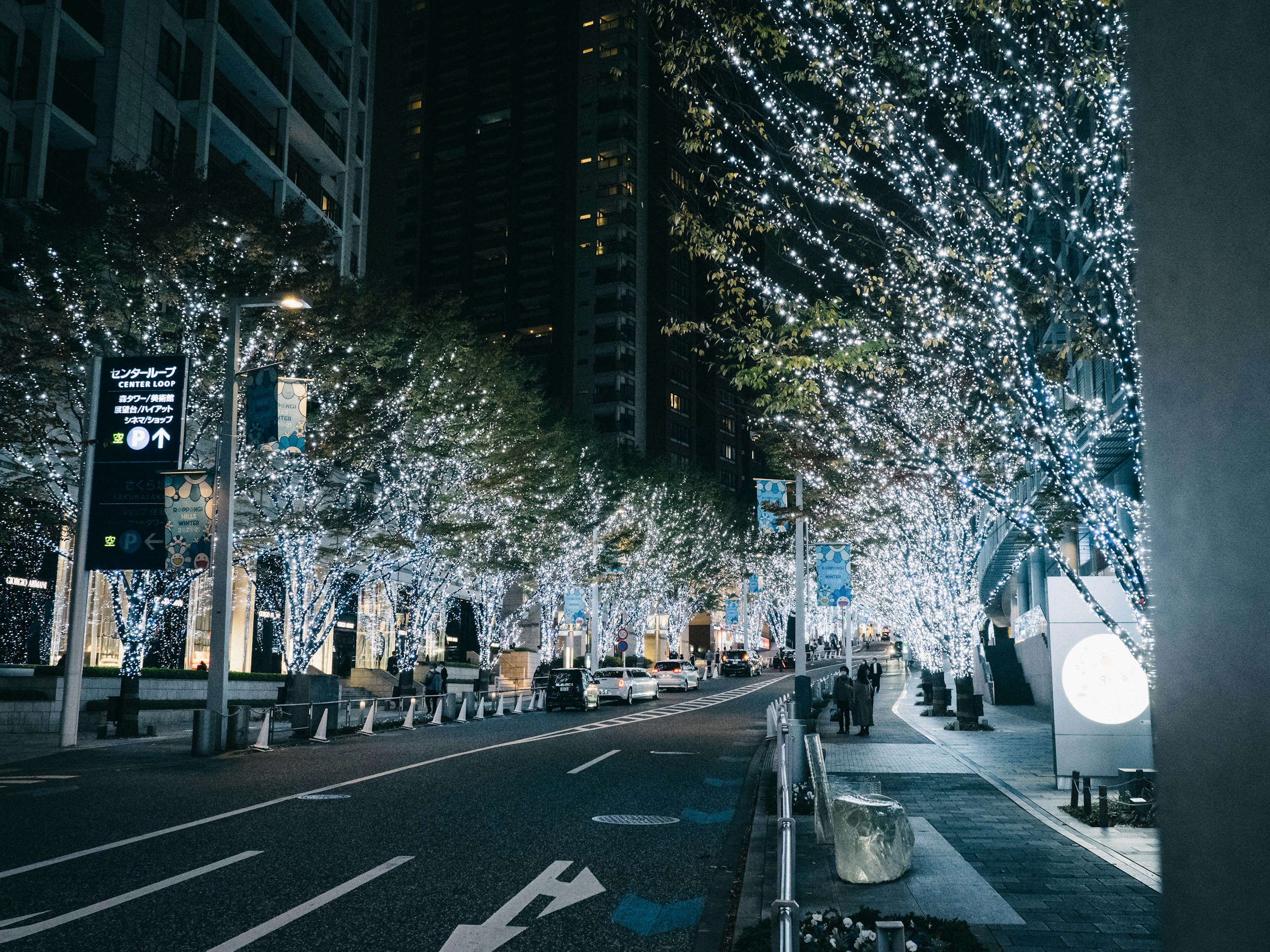 people walking on pedestrian lane during night time