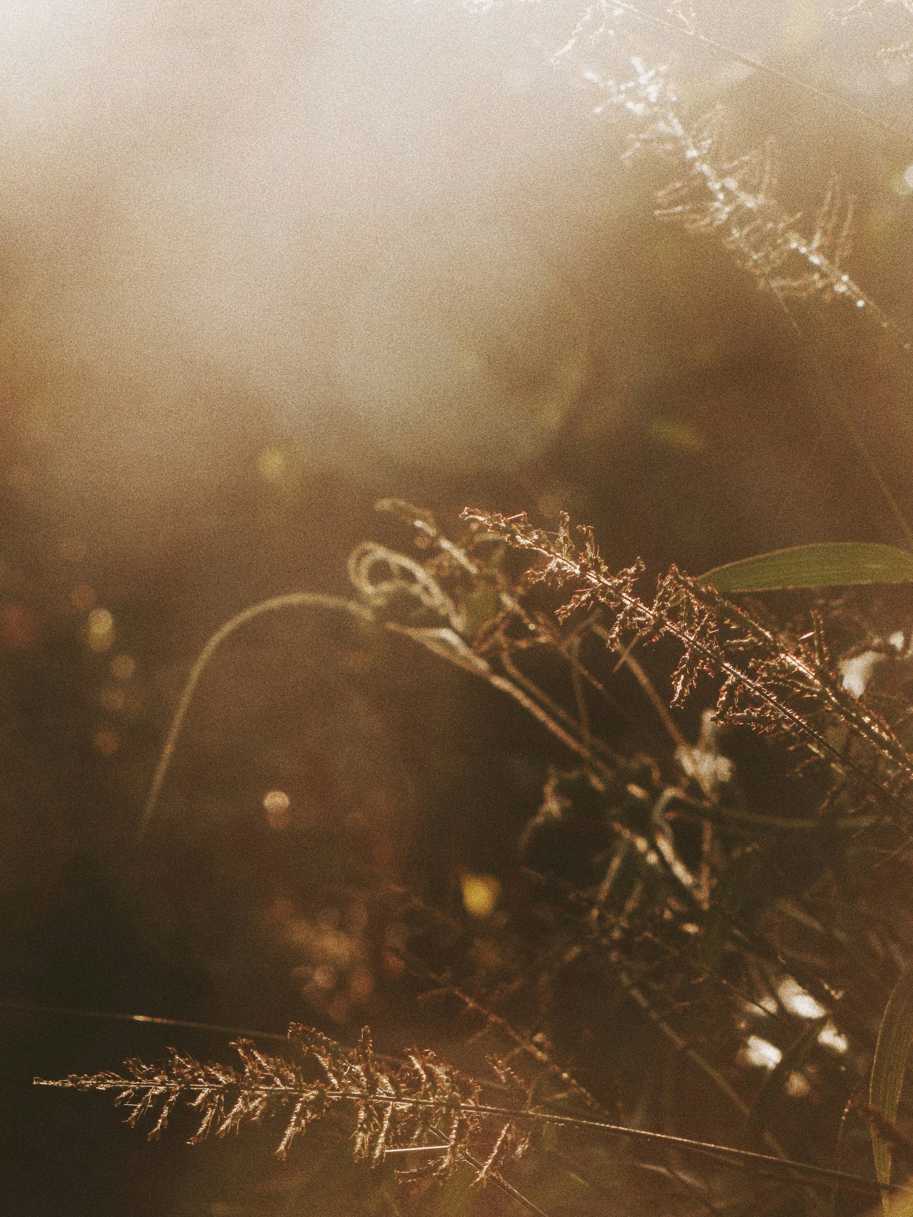 Photo by sreerajofficial07