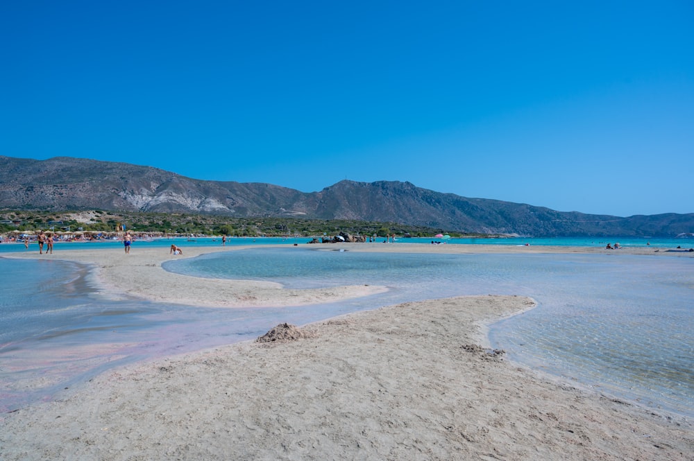 Persone sulla spiaggia durante il giorno