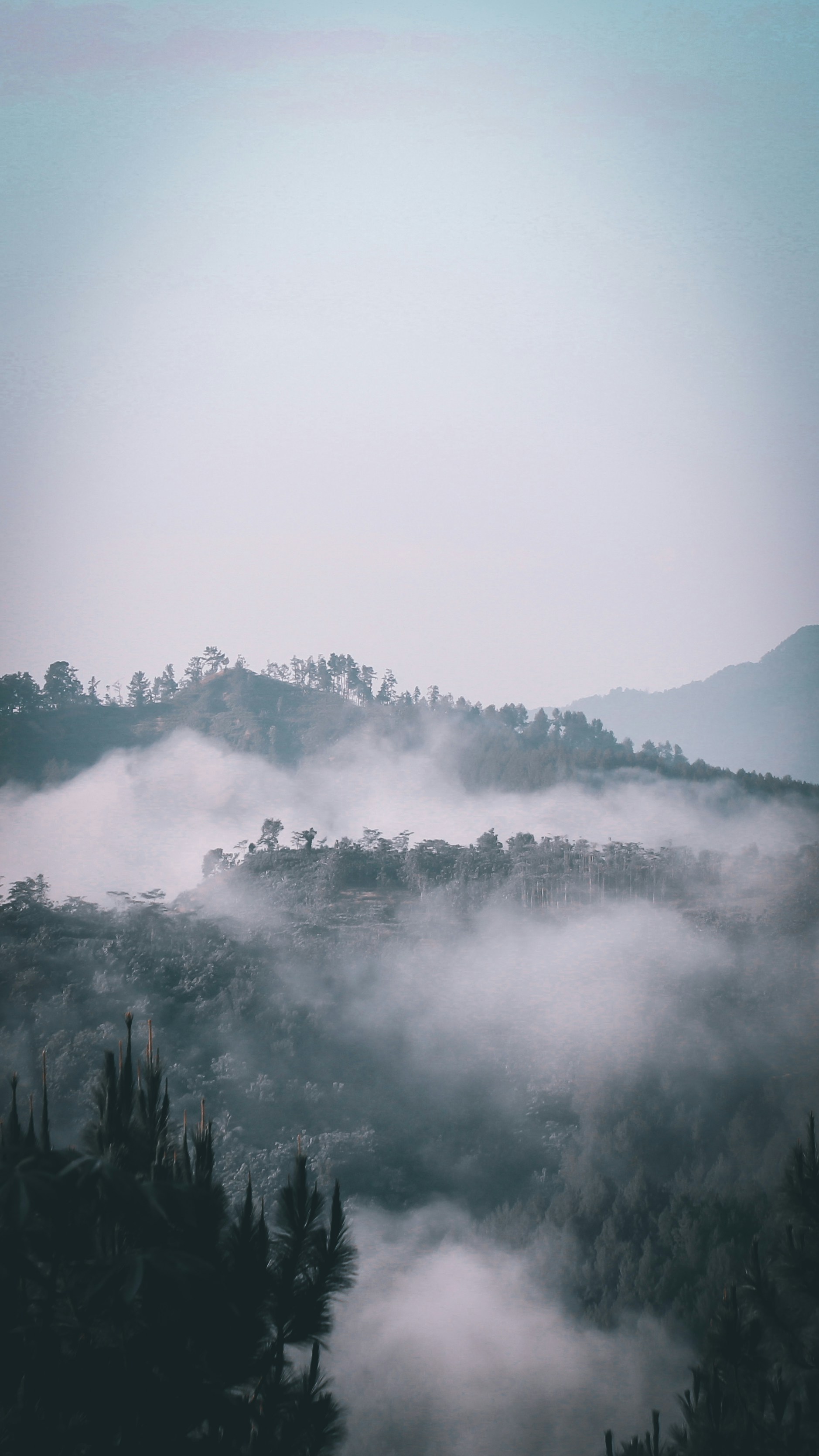 Photo by ilhamfik