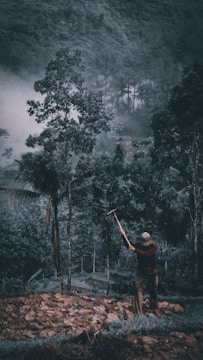 A team performing manual tree felling in a dense forest.
