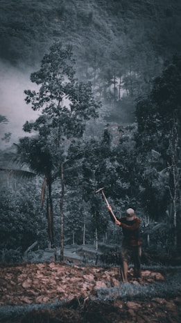 Technician carefully examining a forested area with measuring tools.