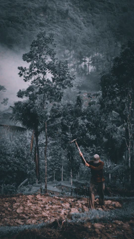 Technician operating a lidar scanner in a dense forest area.