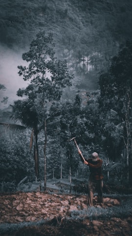 A team of environmental professionals working in a forested area with equipment and maps.