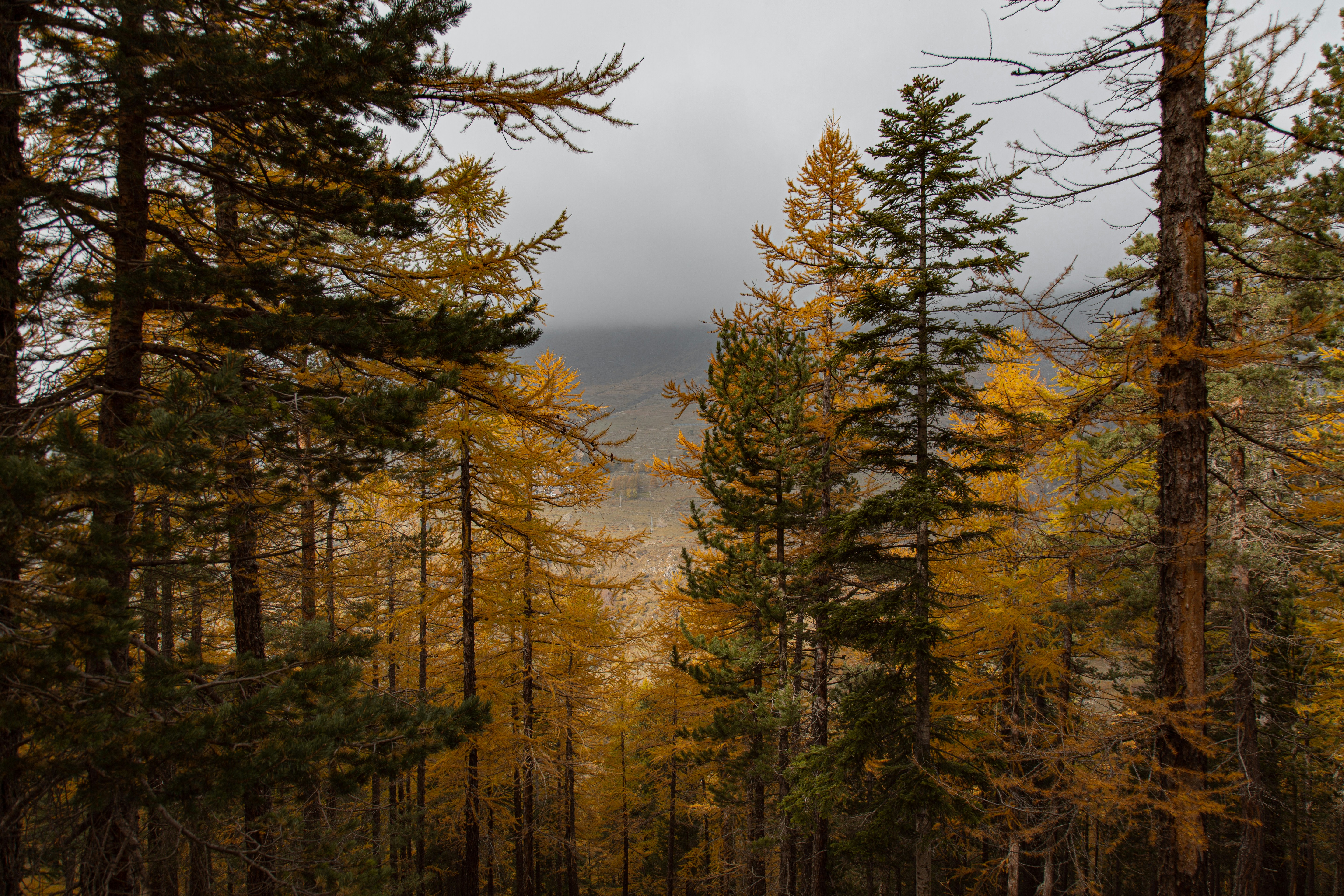 Photo by i_am_simoesse