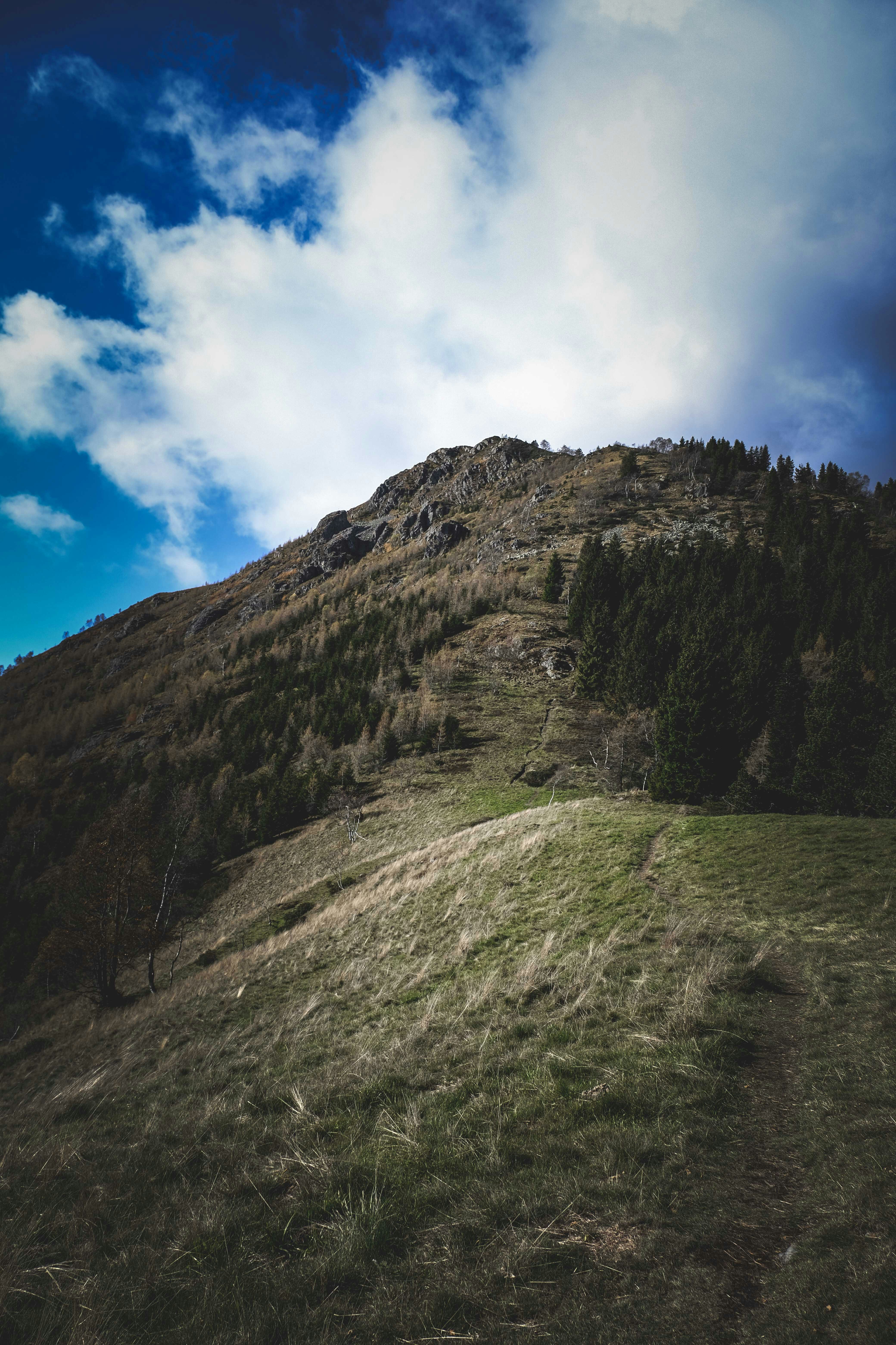 Photo by francesco_ungaro