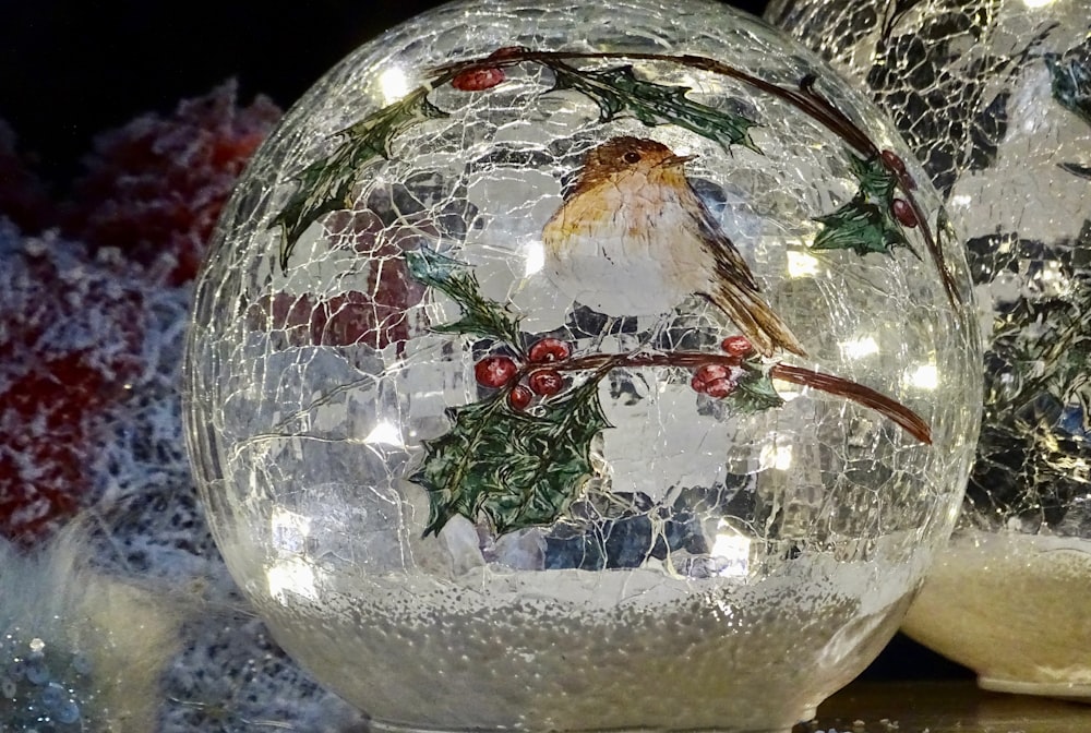 brown and white bird on clear glass ball