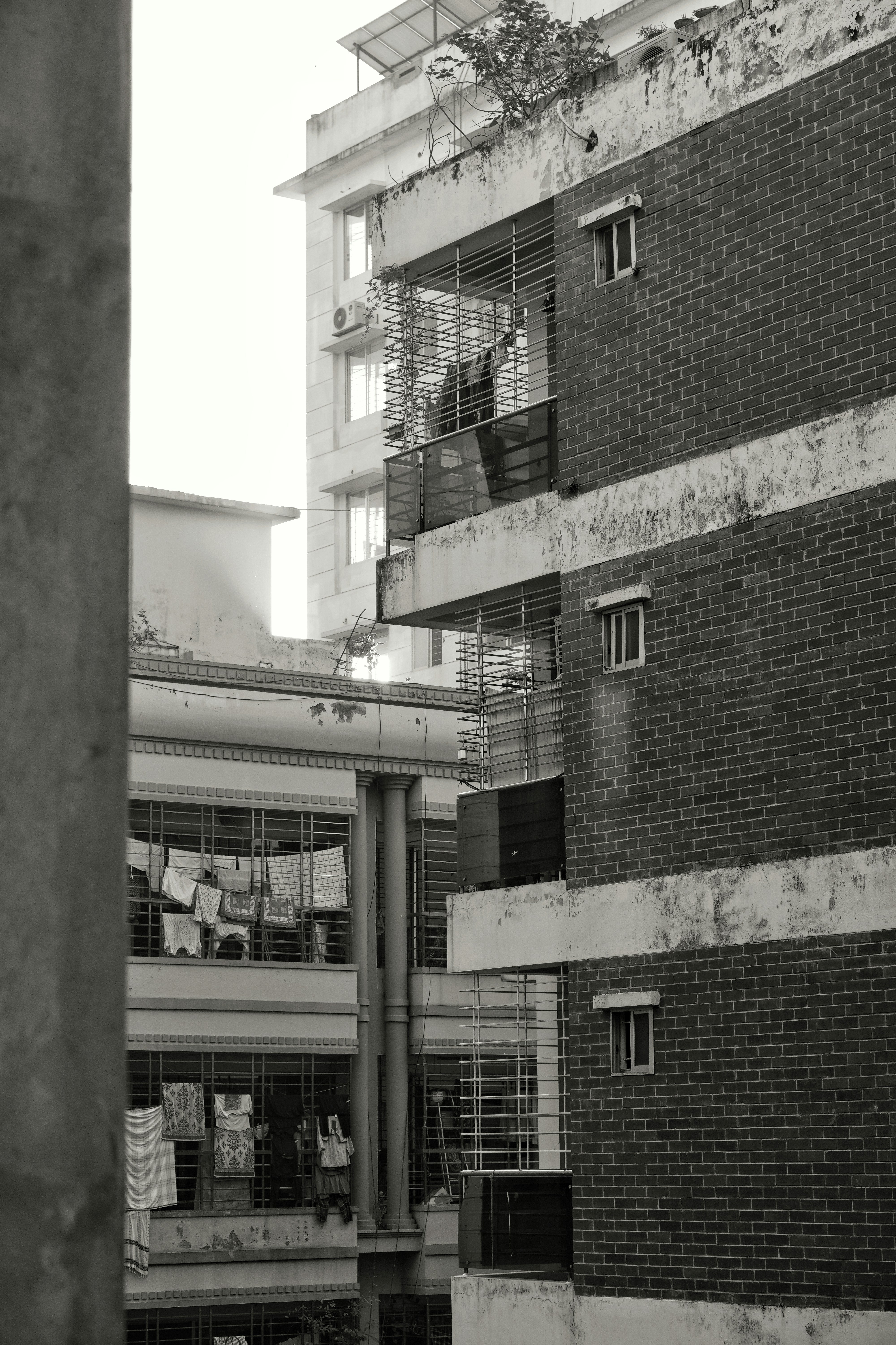 Photo by the_ahnafpiash