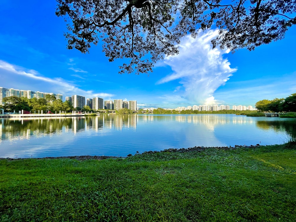 green grass field near lake under blue sky during daytime