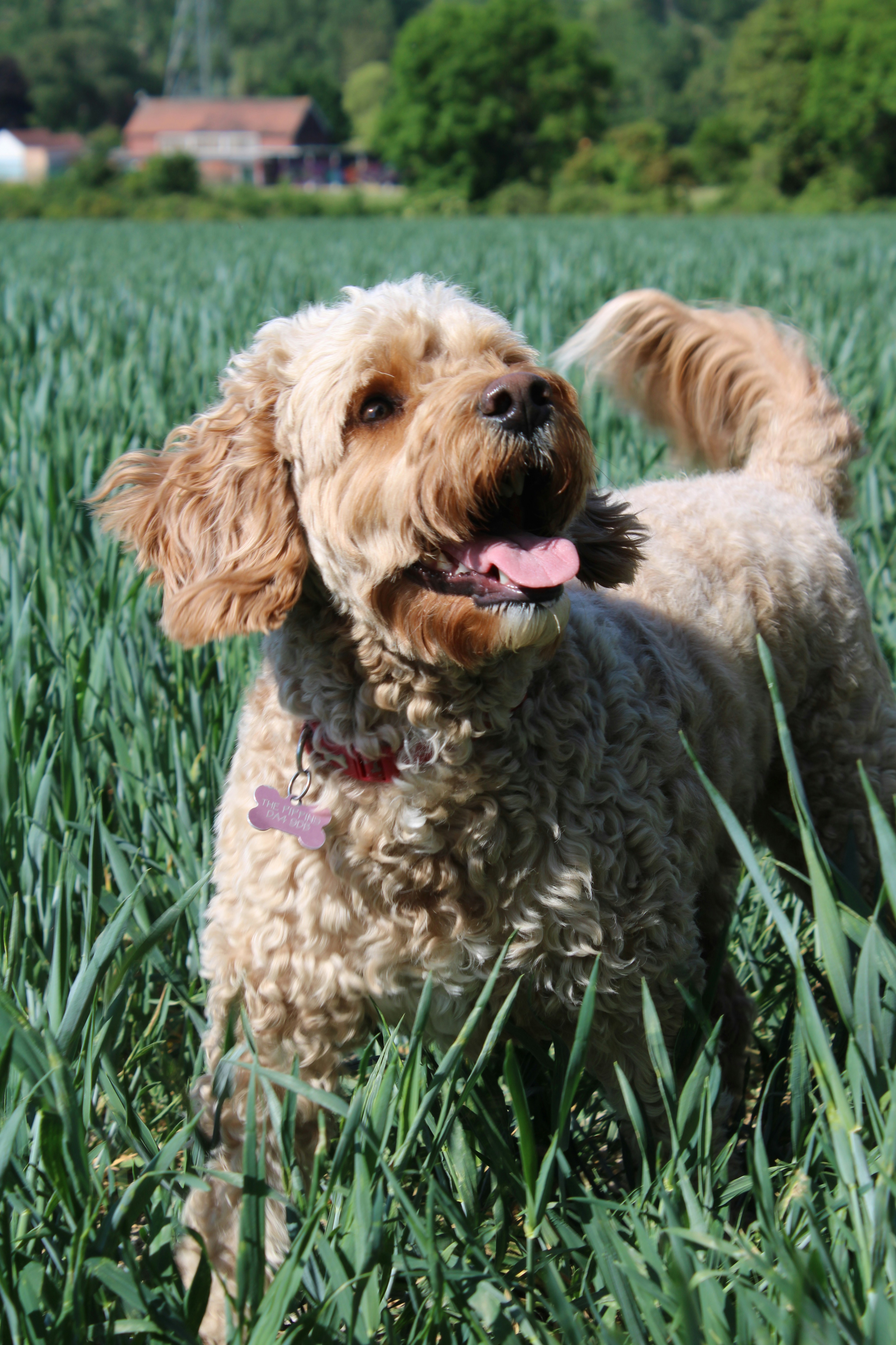 Photo by photo_days_19