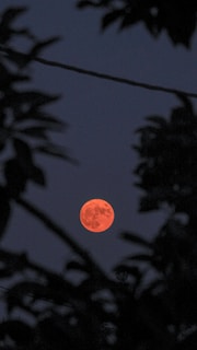 full moon over the silhouette of trees