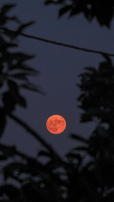 full moon over the silhouette of trees