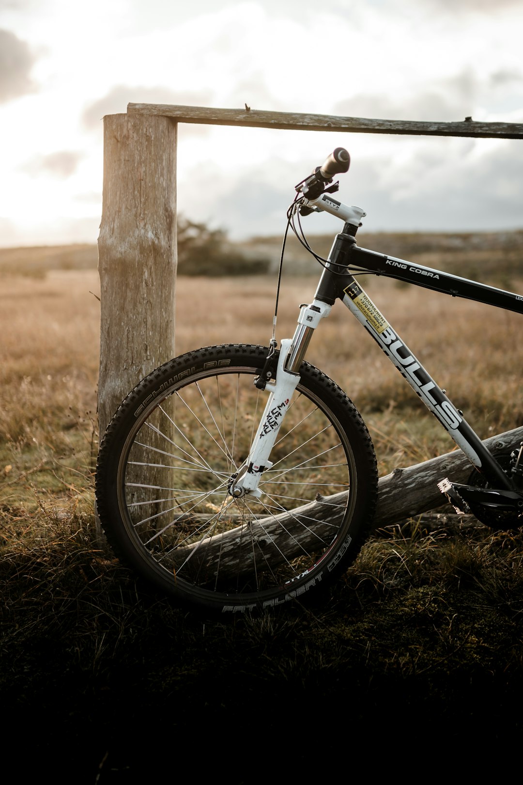 black and white mountain bike leaning on brown wooden post during daytime