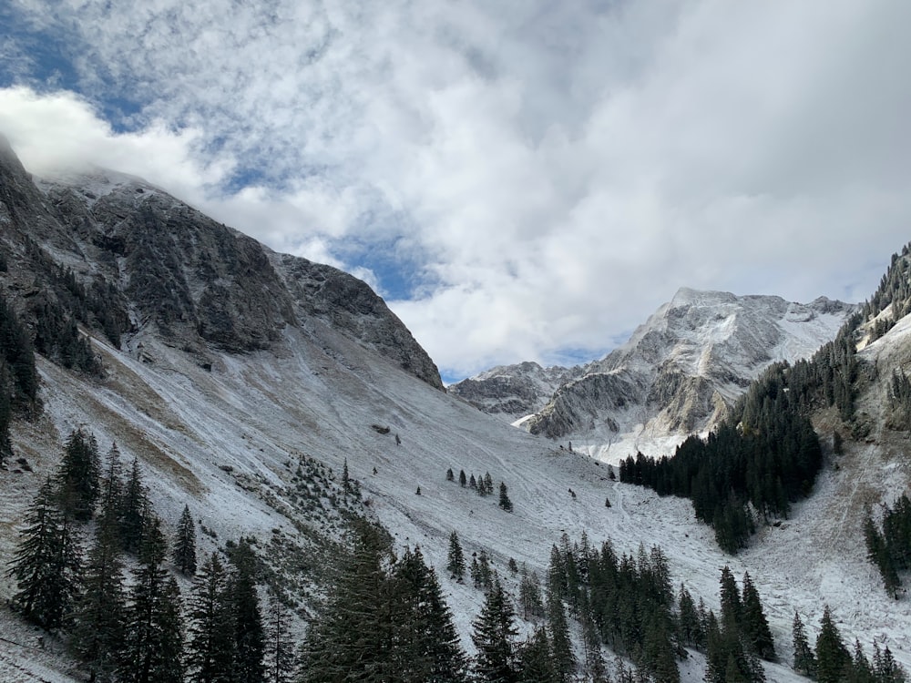 green pine trees near snow covered mountain under white clouds and blue sky during daytime