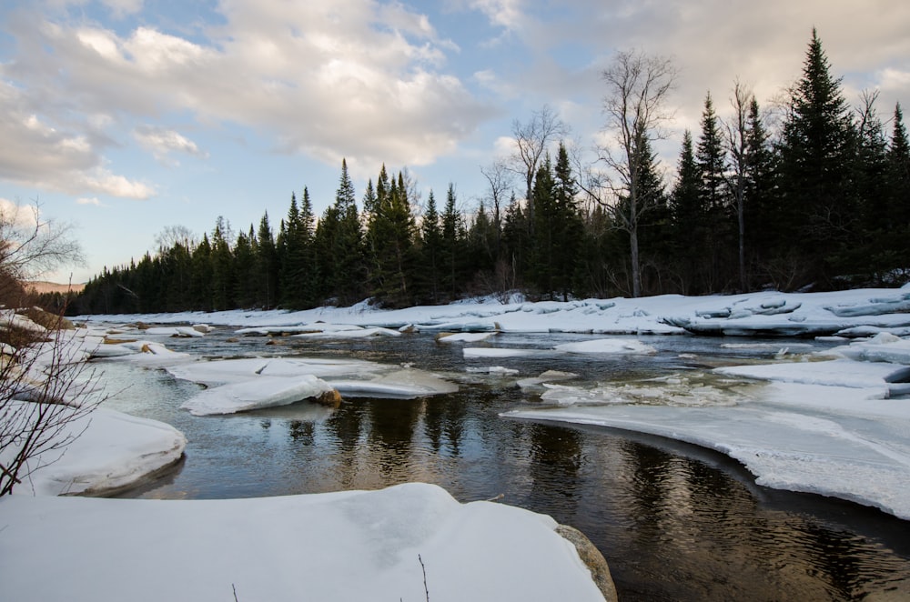 snow covered ground with trees and river under blue sky and white clouds during daytime