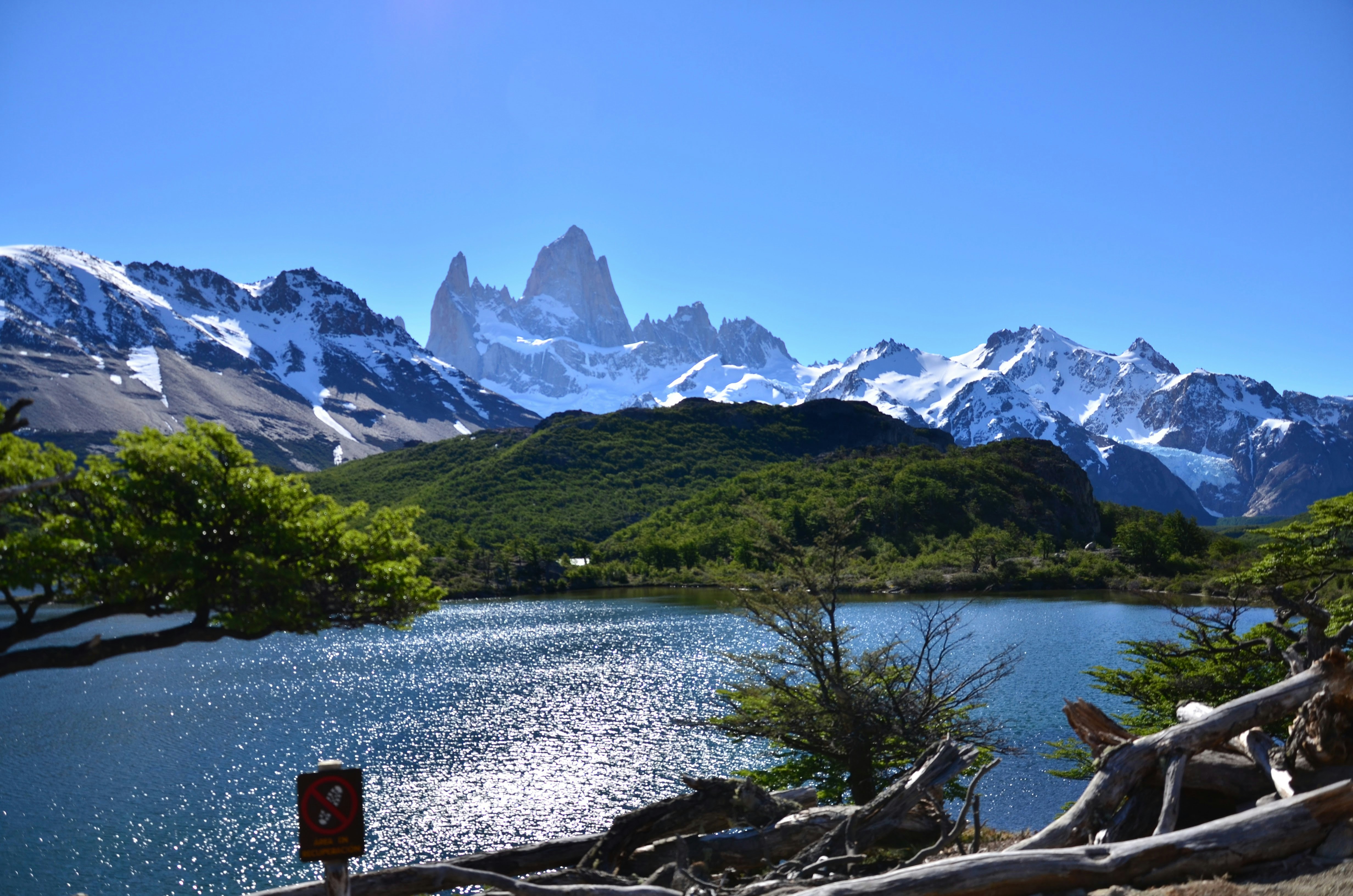 green trees near lake and snow covered mountains during daytime