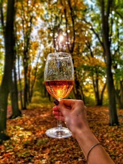 person holding clear wine glass with red wine