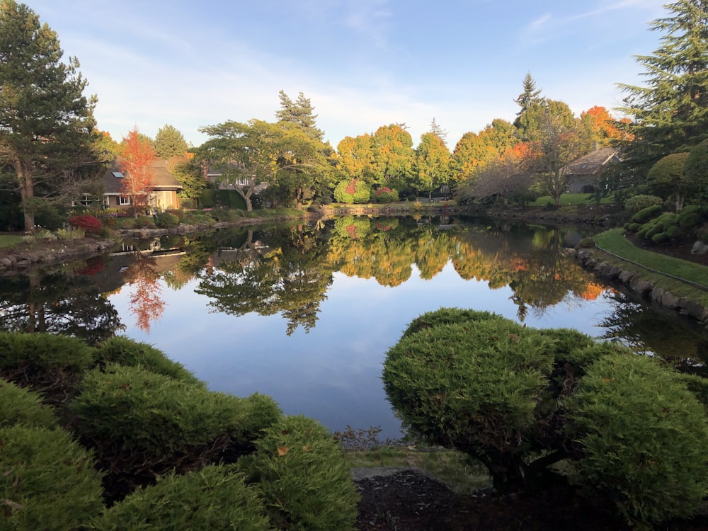 green trees beside lake under blue sky during daytime