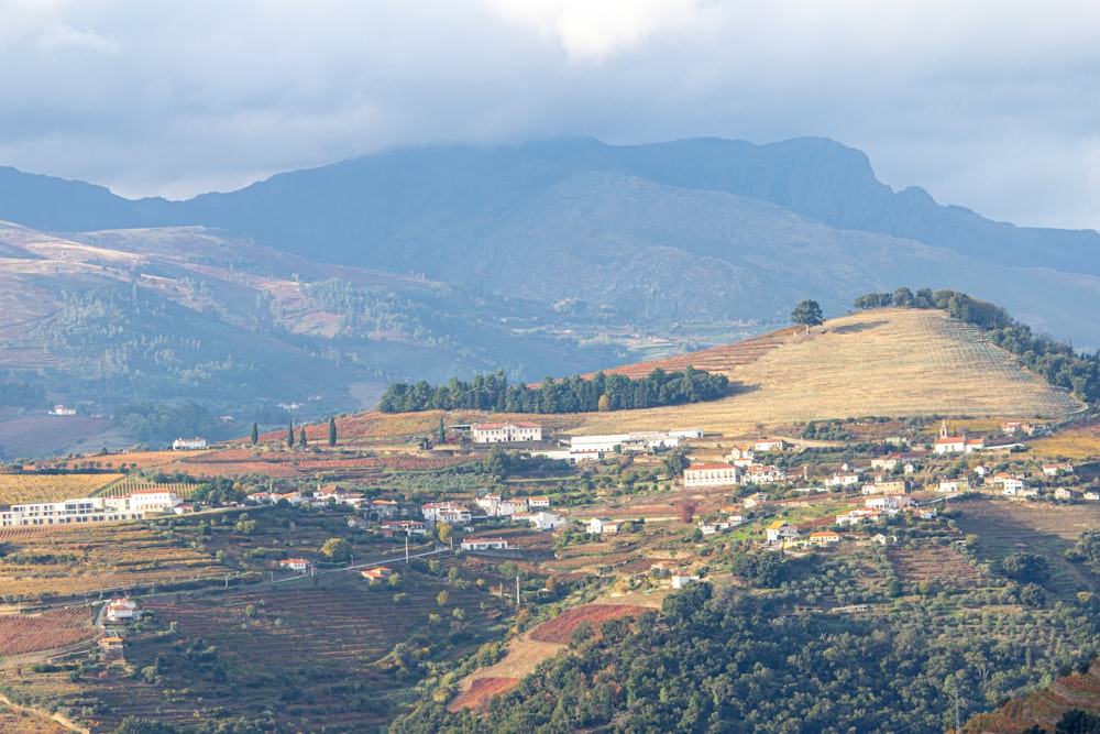 aerial view of green mountains and trees during daytime