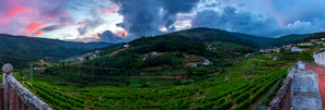 A panoramic view of the rolling vineyards in La Rioja with a quaint village nestled among the hills