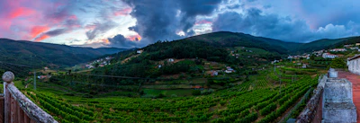 A panoramic view of rolling hills and vineyards typical of the Saône-et-Loire countryside.