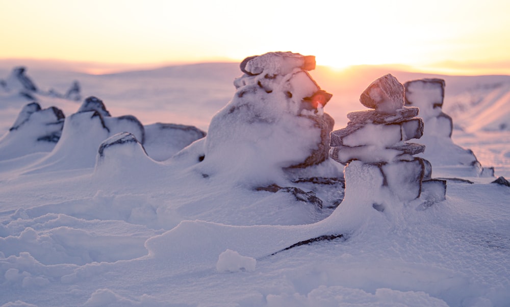 ice blocks on snow covered ground during daytime