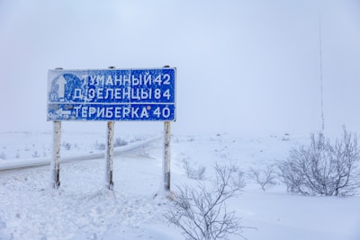 A snowy landscape features a blue road sign covered in snow, indicating directions to Tuman, Zelenets, and Teriberka. Sparse, leafless bushes are scattered across the snow-covered ground under an overcast sky.
