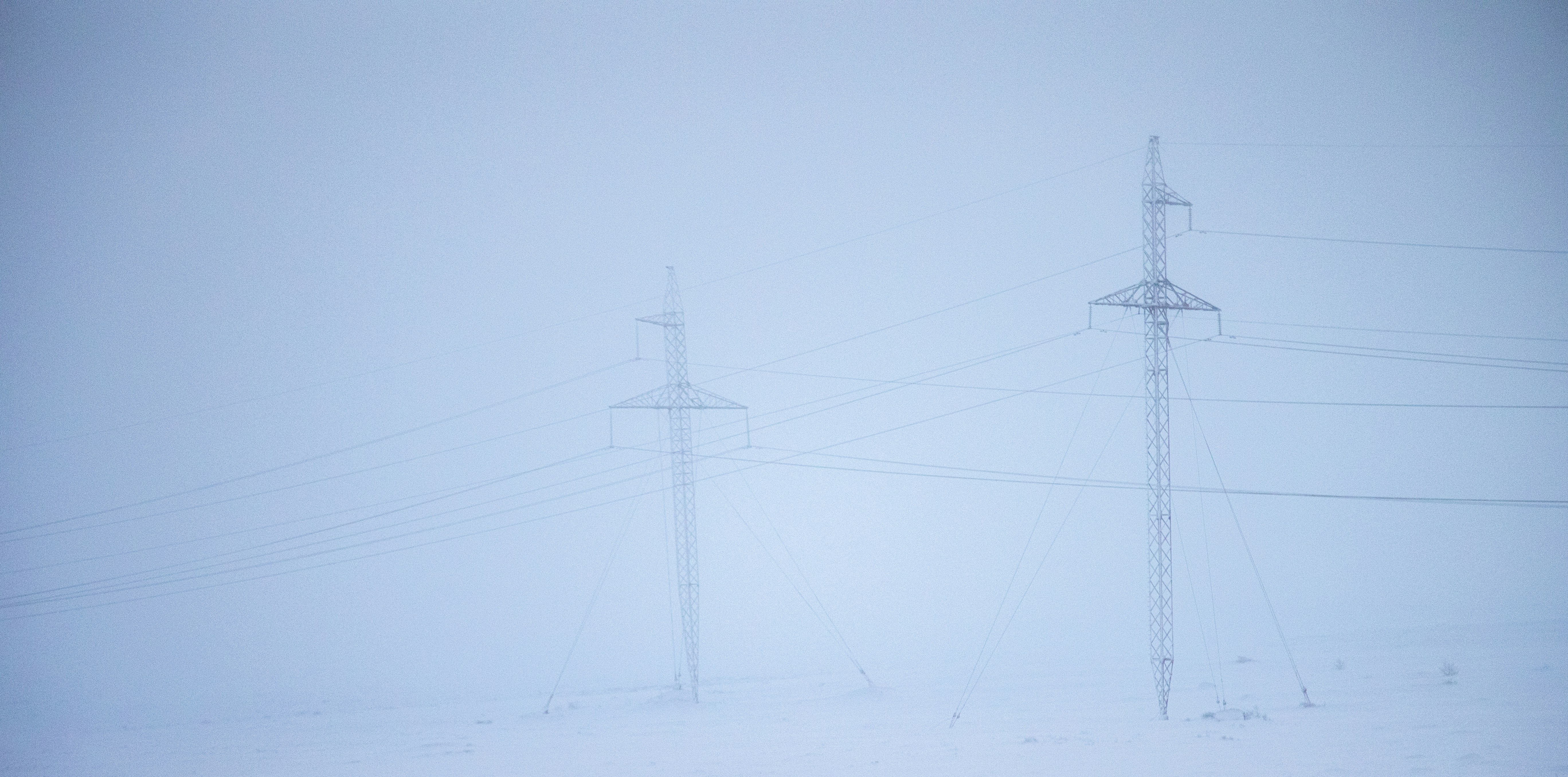 twenty-five years worth of flowers