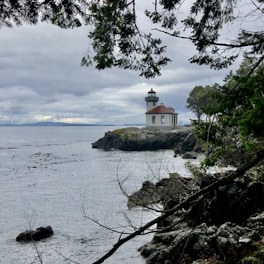 white and brown concrete building on brown rock formation near body of water during daytime