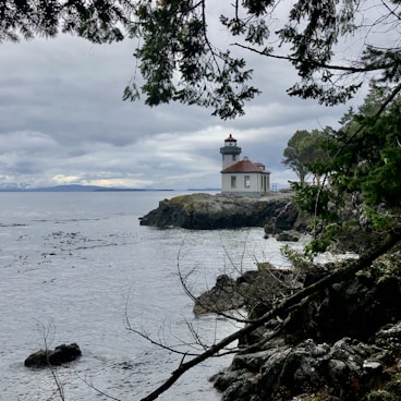 white and brown concrete building on brown rock formation near body of water during daytime