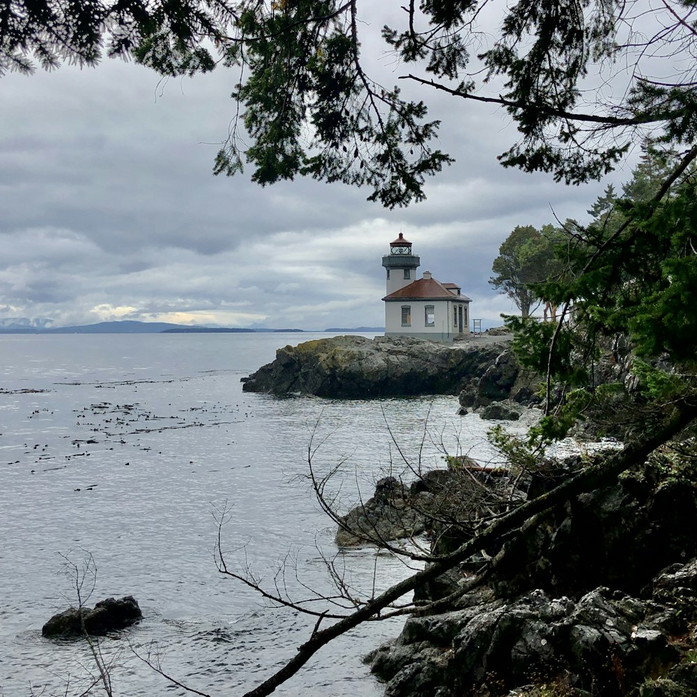 white and brown concrete building on brown rock formation near body of water during daytime