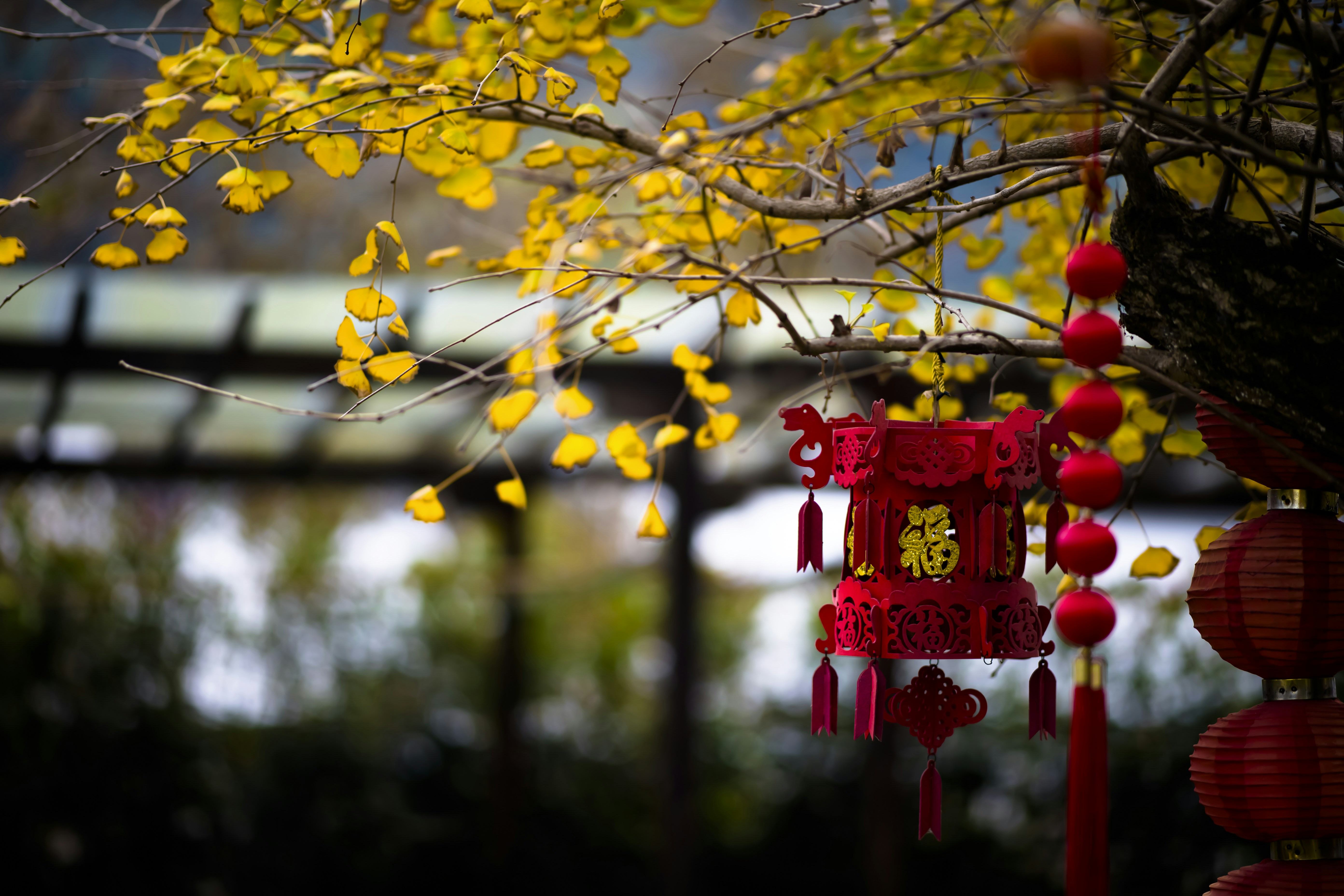 Photo by fan_world2020