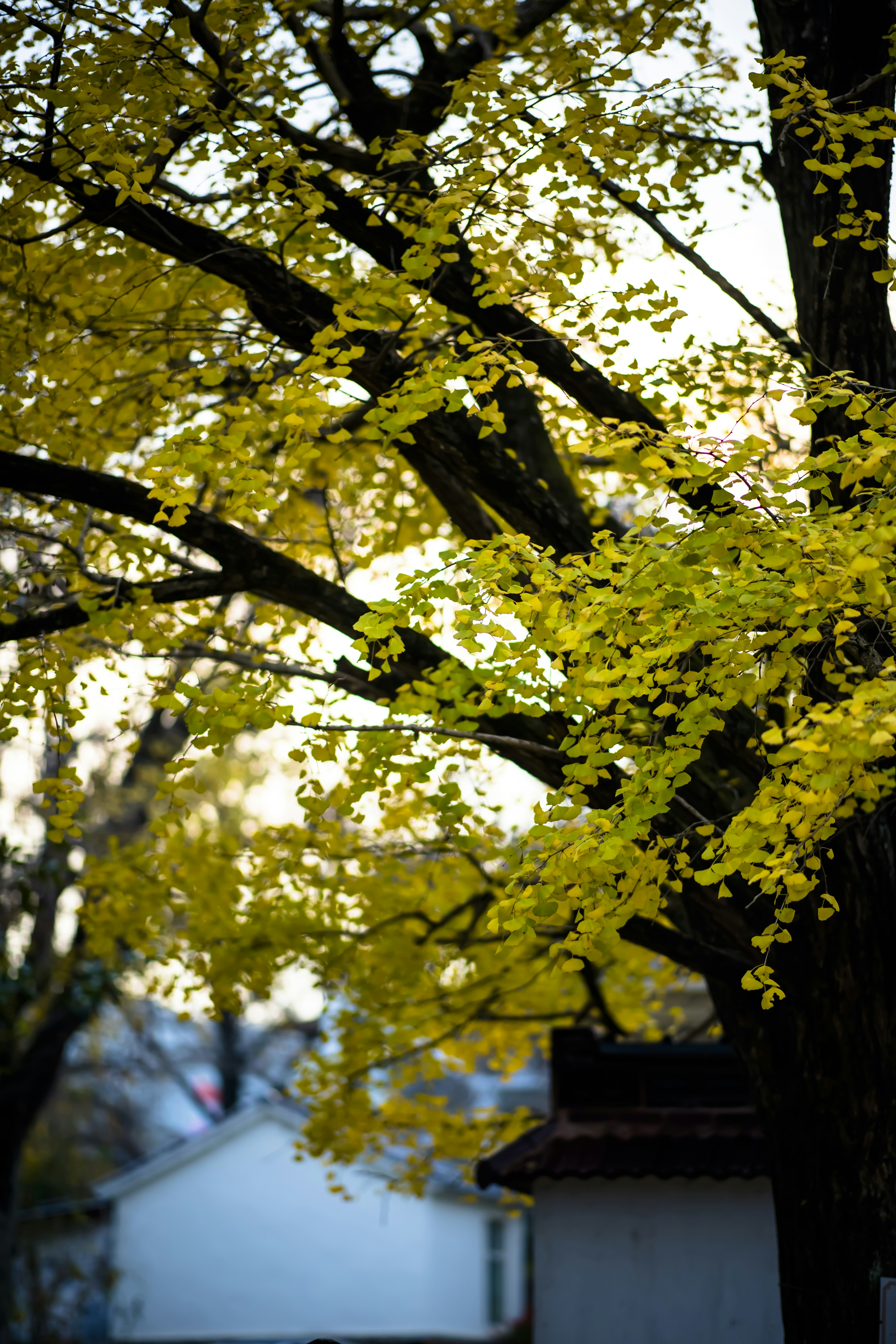 Photo by fan_world2020