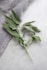 green plant on white textile