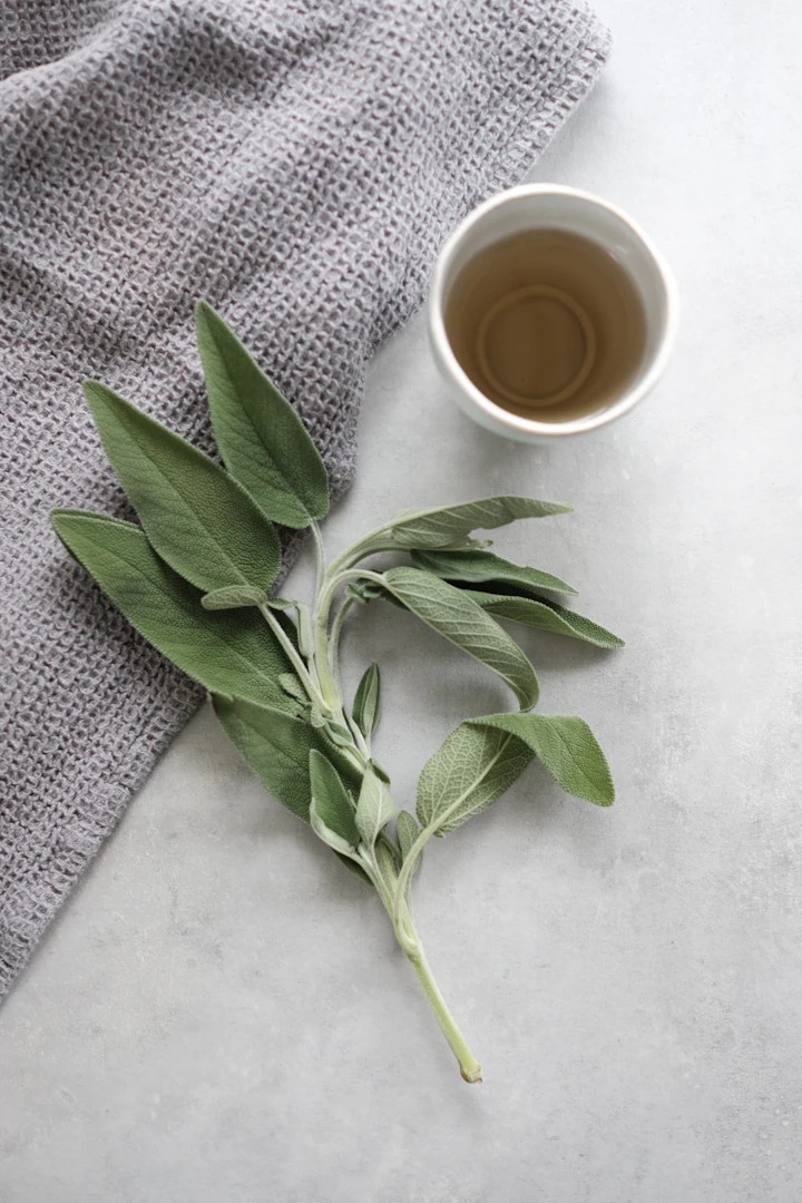 Fresh sage leaves on linen beside a cup of herbal tea.