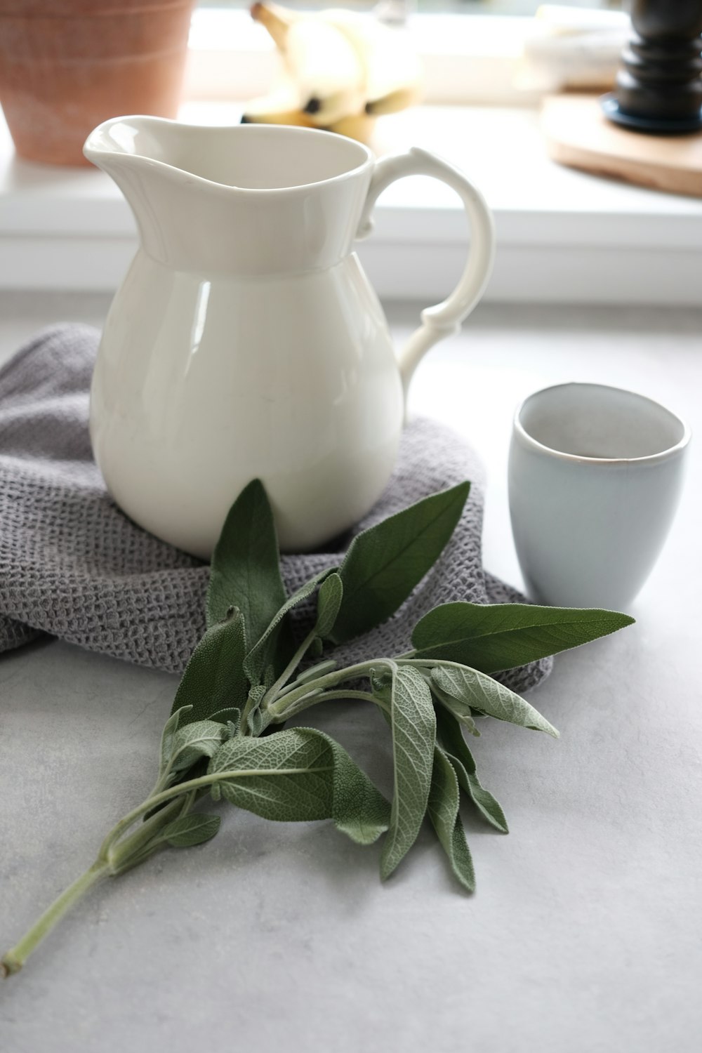 white ceramic pitcher beside green plant on white table