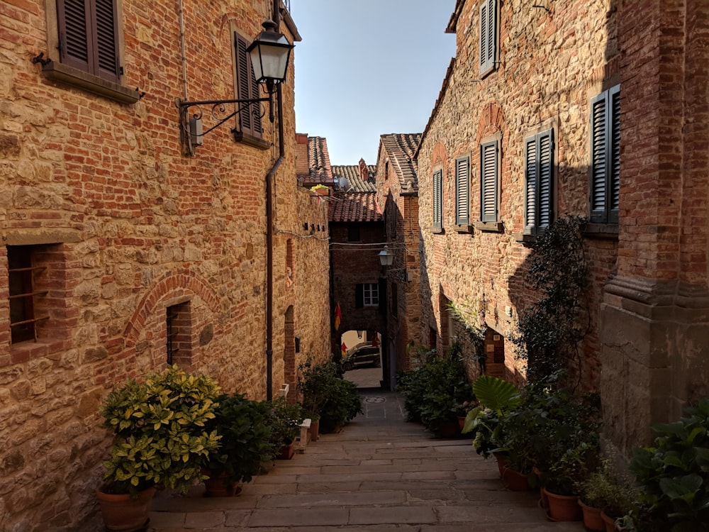 brown brick building during daytime