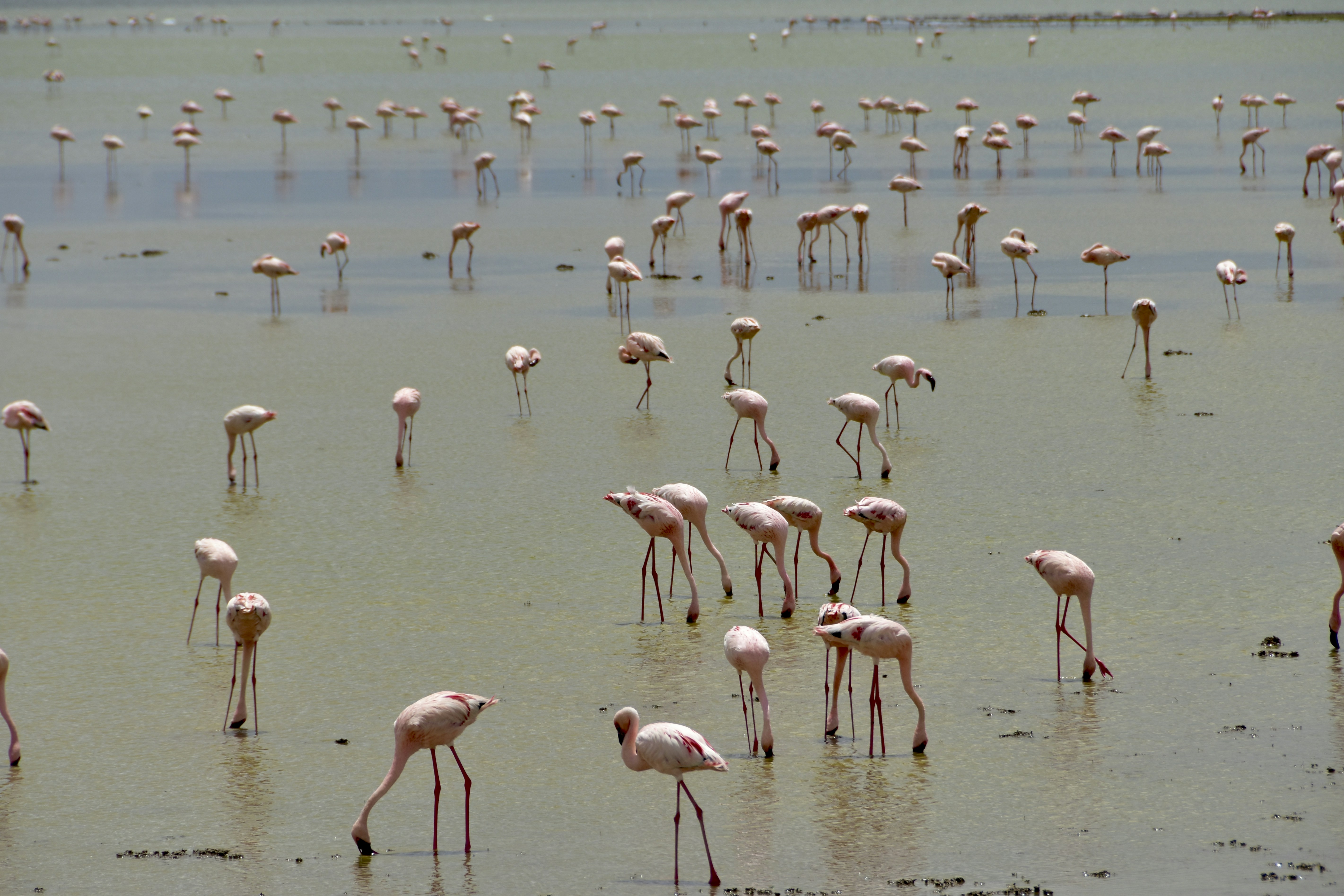 Photo by davidghensley